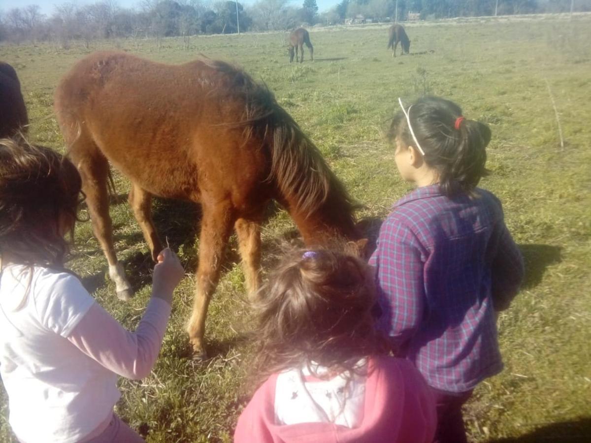 Cabanas Hoja De La Tierra Chascomús Zewnętrze zdjęcie