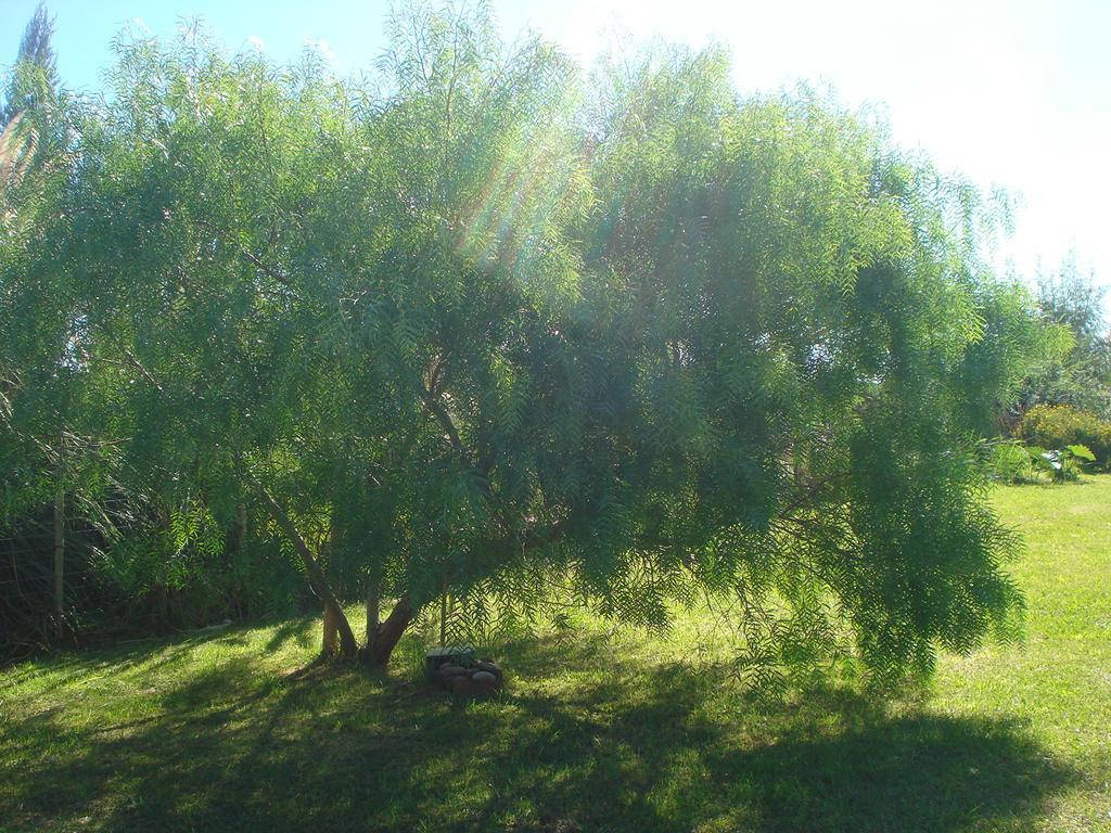 Cabanas Hoja De La Tierra Chascomús Zewnętrze zdjęcie